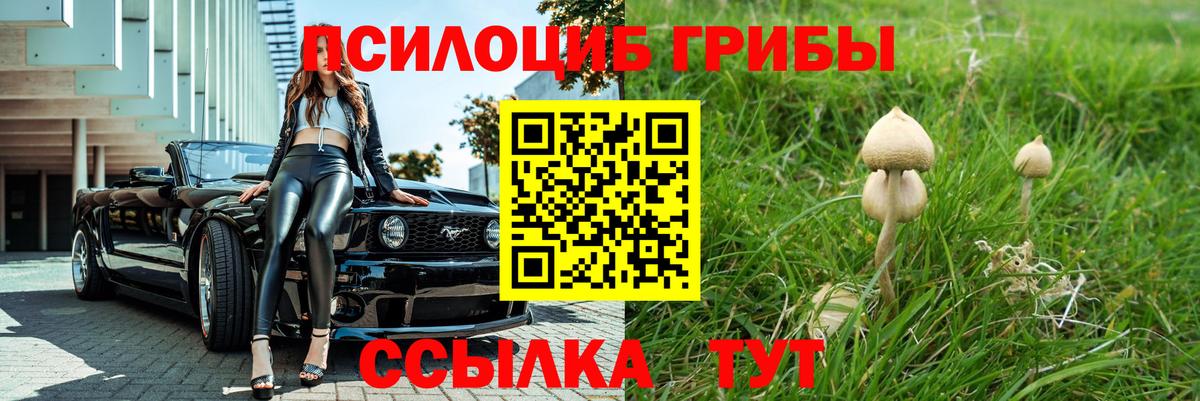 Галлюциногенные грибы GOLDEN TEACHER  Псилоцибиновые грибы мухоморы  Коряжма  Вход с VPN 